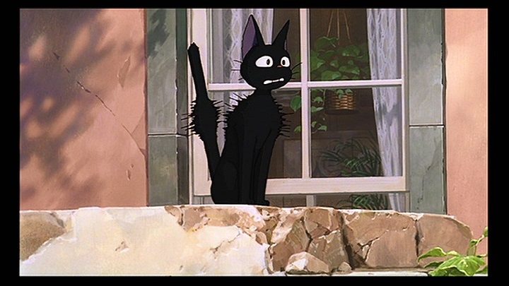 ジジは13歳のオスの黒猫です。魔女は女の子が生まれると、同じ年に