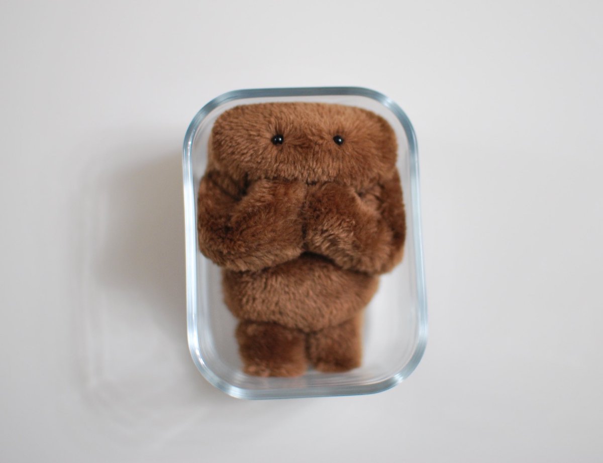 一晩寝かせられてるカレーのぬいぐるみです