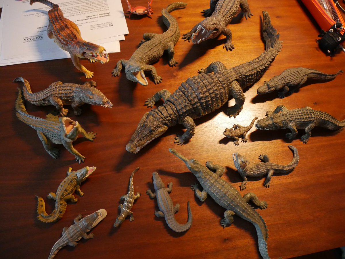 プレミアムバンダイいきもの大図鑑 アルティメットナイルワニがうちに