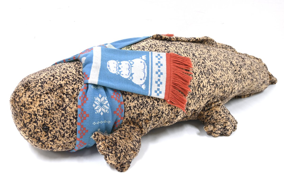 🌟━━━━━━━━━🌟 オオサンショウウオ ぬいぐるみと 一緒に