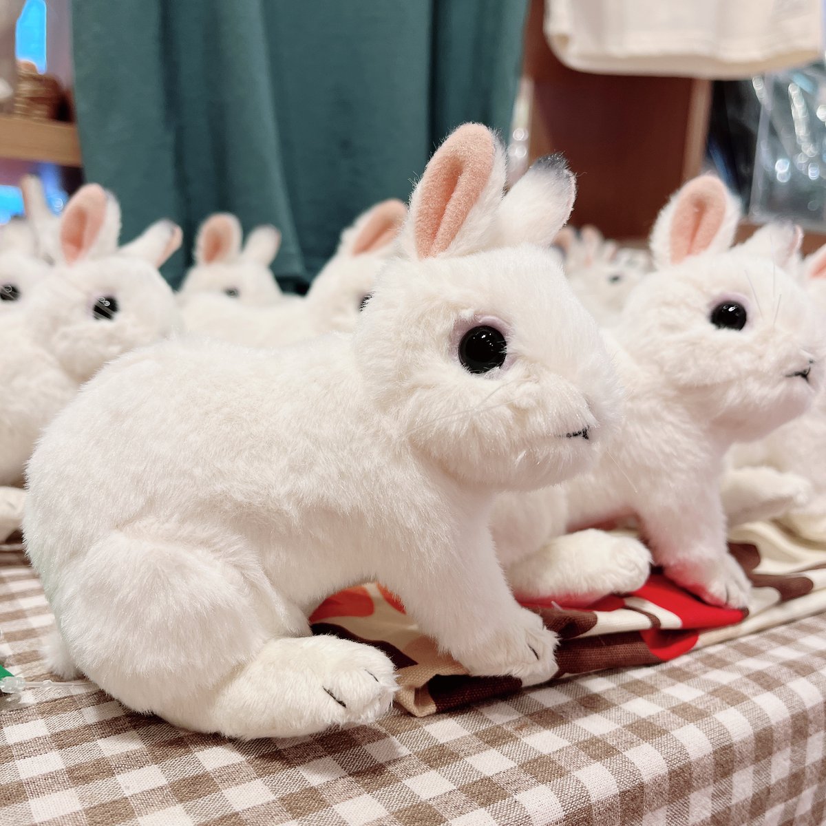 毎年恒例！ 2023年 干支ぬいぐるみ ウサギ 1540円（税込み） 販売開始