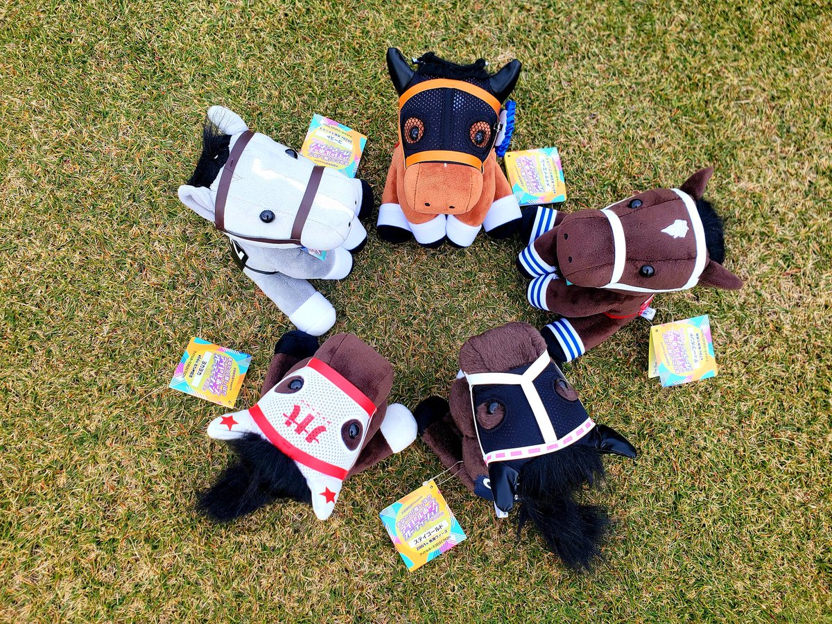 アイドルホースオーディション 2022で選ばれた5頭がついに仲間入りしま