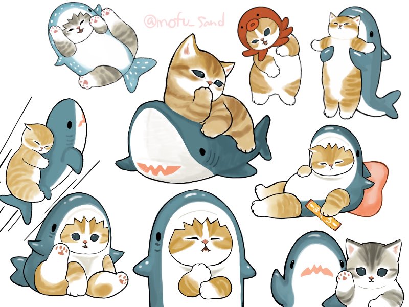Post by ぢゅの🐈 on X: サメにゃん！