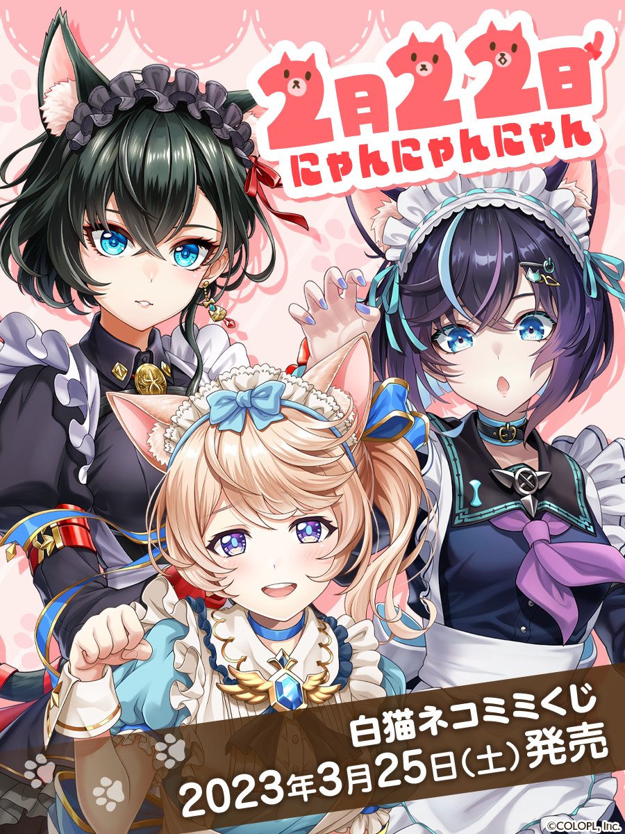 本日2/22は #にゃんにゃんにゃんの日‼ฅ*•ω•*ฅ ฅ*•ω•*ฅ ฅ*•ω•*ฅ