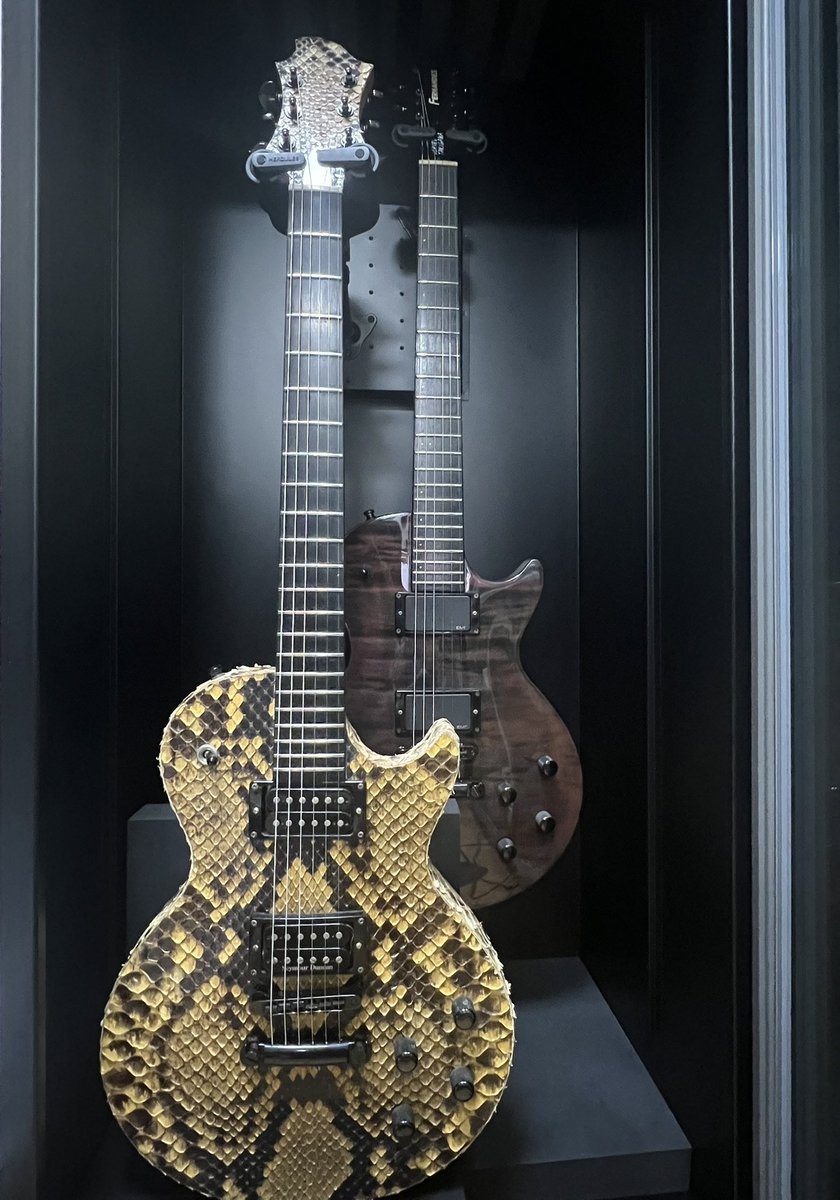 一郎さんモデルの選手権と聞いて。 ESPでRE-180Cをベースにした蛇皮