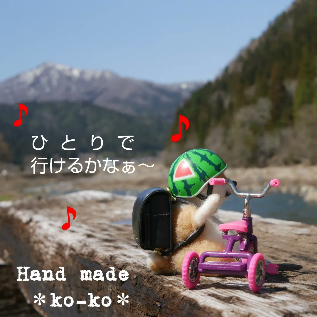 今年はいつもより早く春が来そうだなぁ✨芝桜や菜の花が咲き始めました