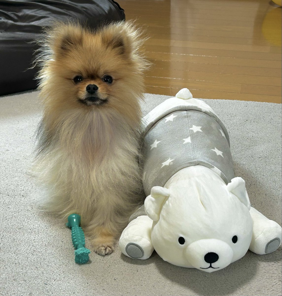 ころも (@pome_koromo) / Posts / X