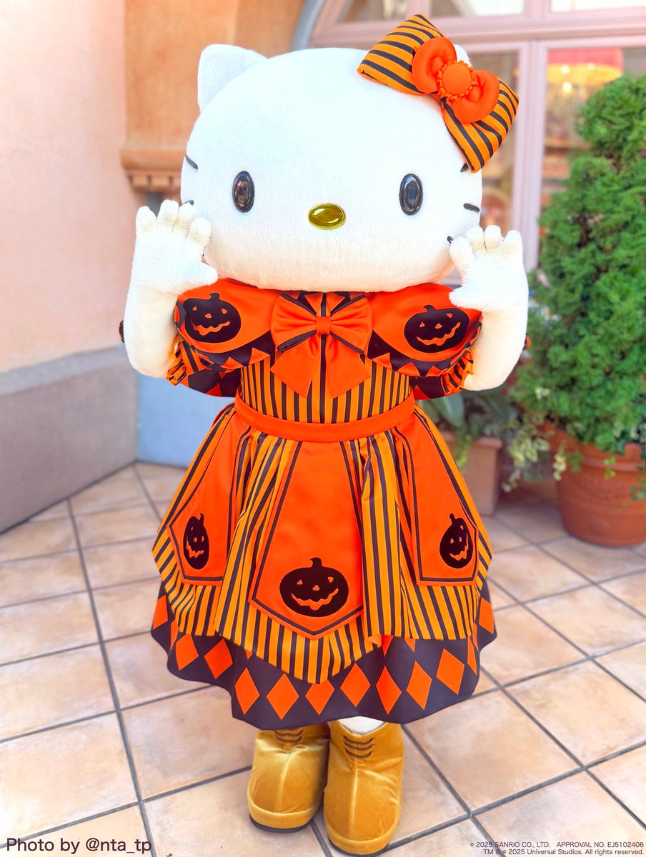 🎀━━━━━━━🎀 まもなく11/1は ハローキティ のお誕生日