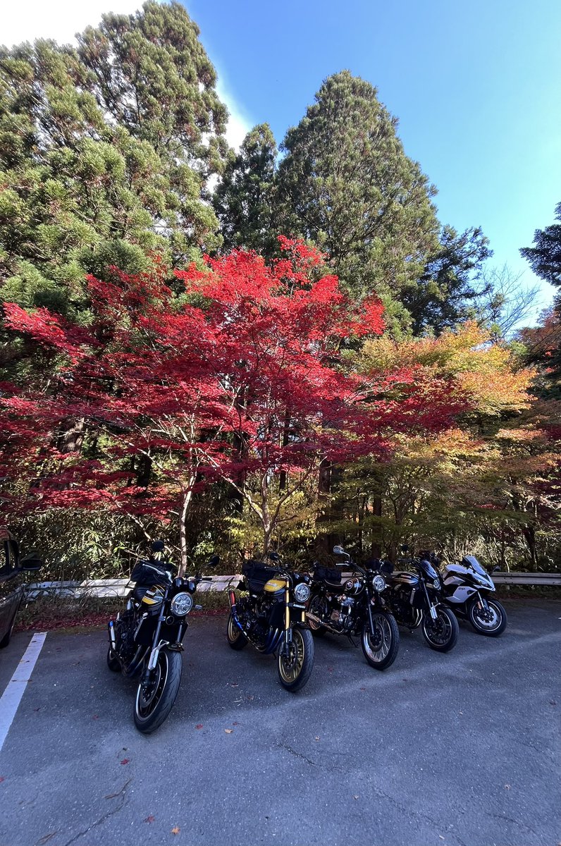 お疲れ様です。 ツーリングで、茨城県へお邪魔 しました。紅葉綺麗で