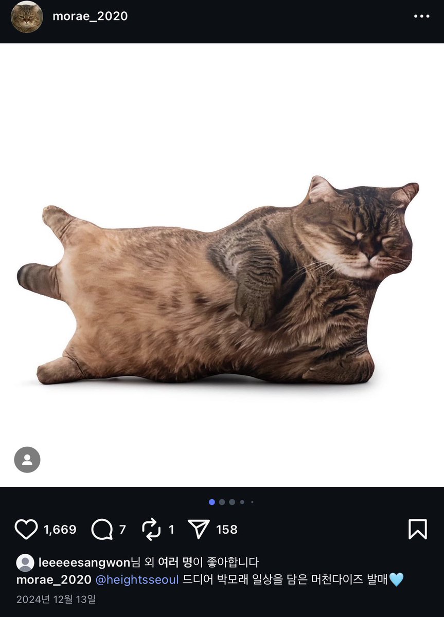 ALD1 サンウォン 猫 クッション サンウォンのベットにあった猫の