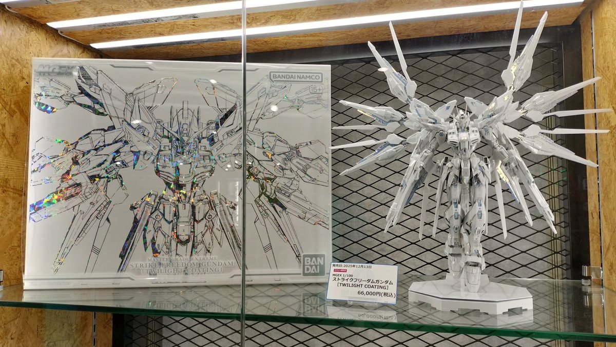 MGEXストライクフリーダムガンダム(TwilightCoating)の箱✨️ ガンプラ