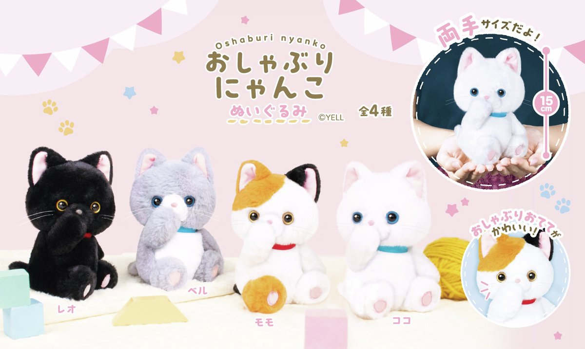 🍼🐱11月新ぬいぐるみのご紹介🐱🍼 『おしゃぶりにゃんこ ますこっとBC