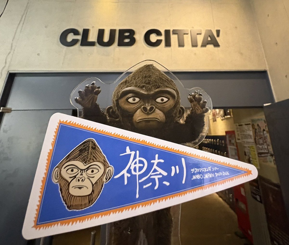 本日は 神奈川県🐟 CLUB CITTA'公演🔥 ザ・クロマニヨンズツアー JAMBO