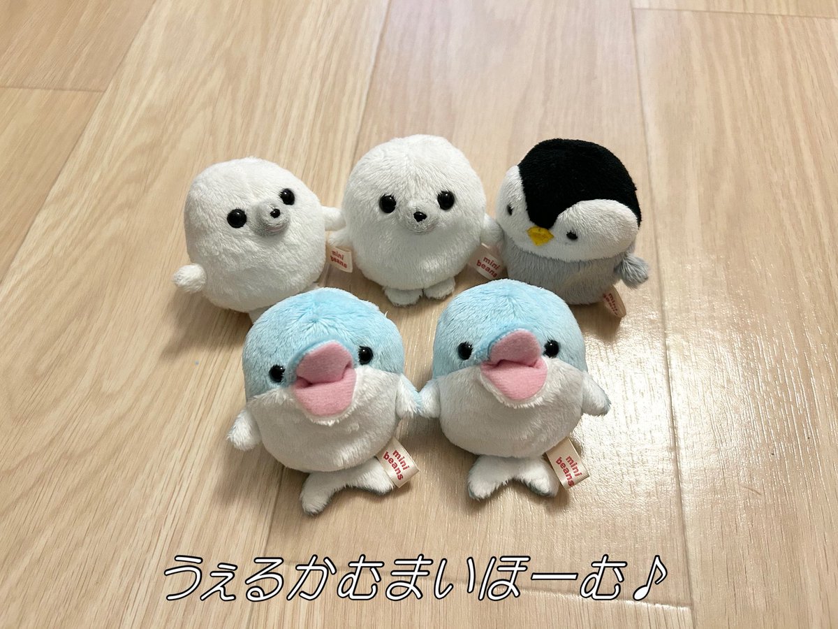 我が家にも無事ミニビーンズのイルカちゃん達がご到着されました