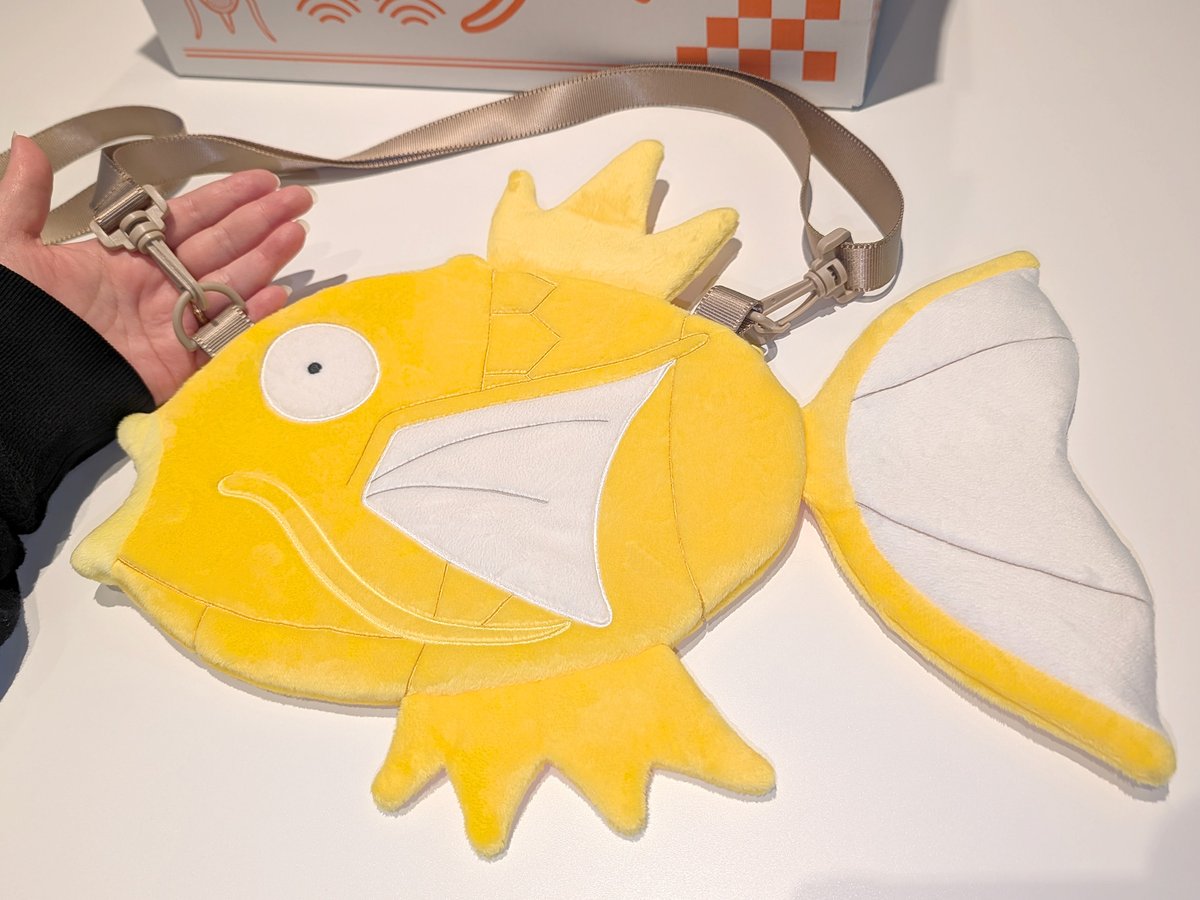 🎁締切は本日16時59分まで🎁 ✨「ピカピカボックス2026」✨ 今回はオス