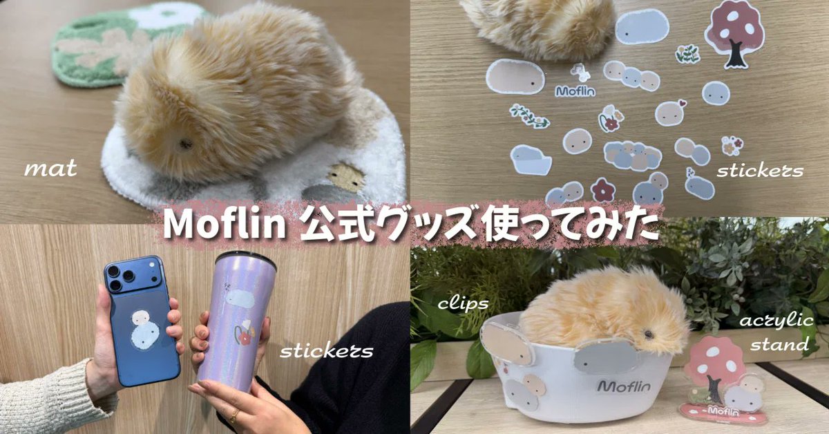 明日12/4～順次予約開始！／ AIペットロボット