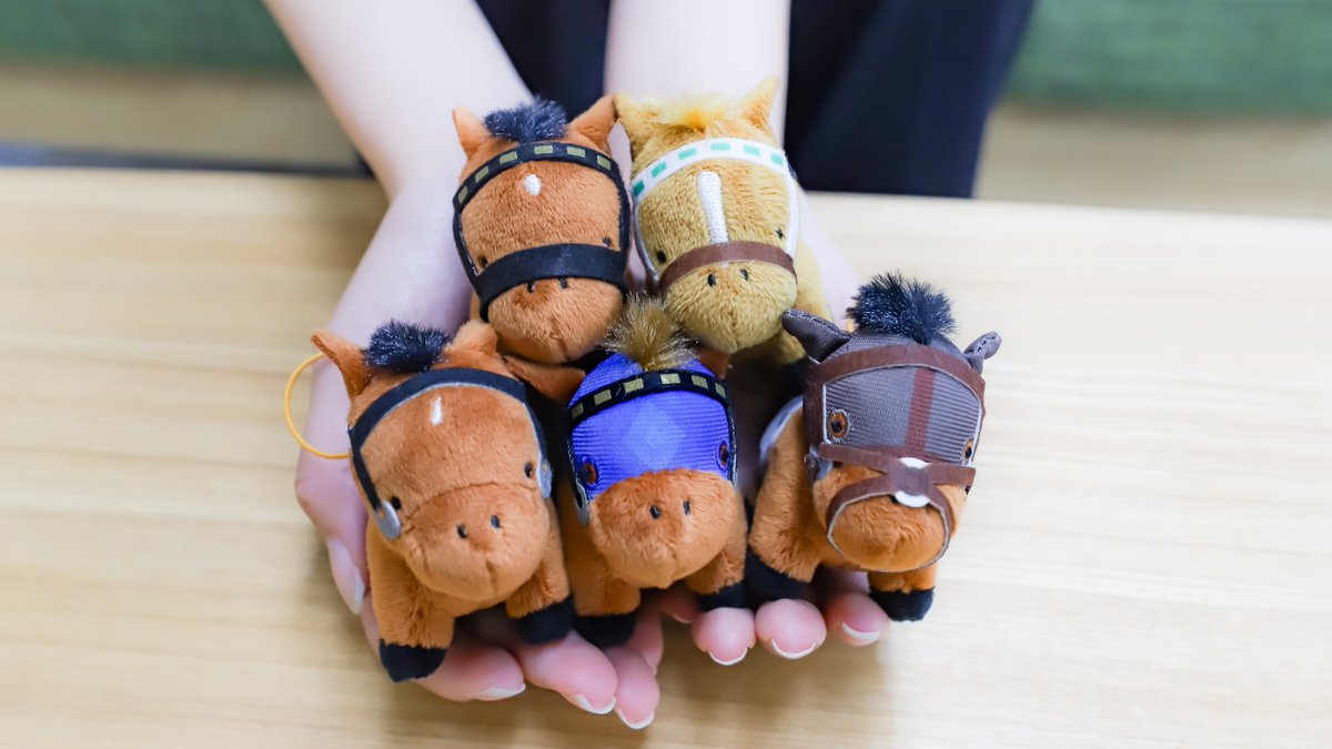 12月発売商品のご紹介 サラブレッドコレクションぷちぬいぐるみ7