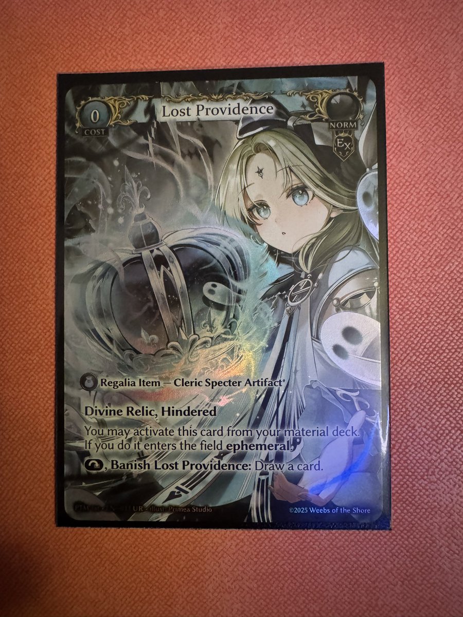 その他 Lost Providence FOIL grand archive その他 Lost Providence