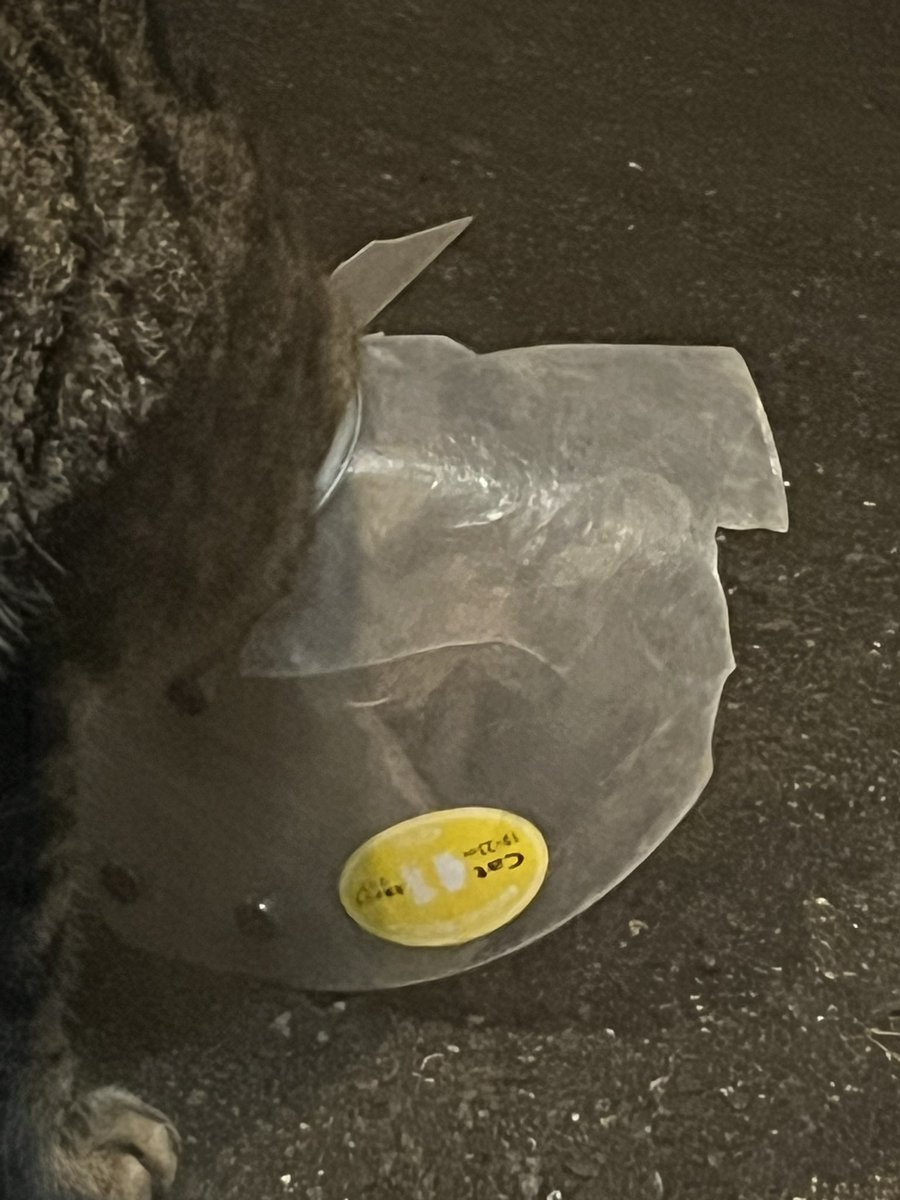 こてつ i-smart (@kotetsu_69) / Posts / X