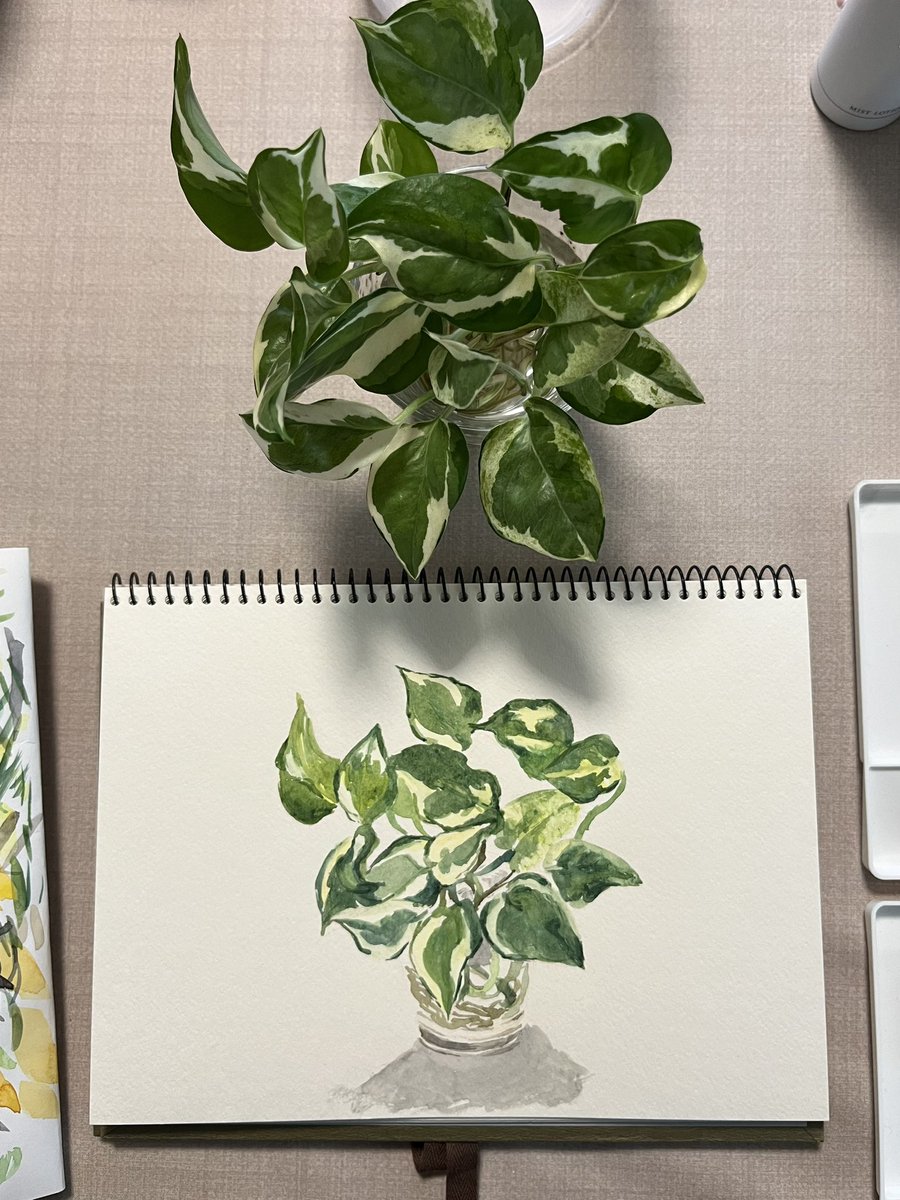 めろる (@rollme12) / Posts / X