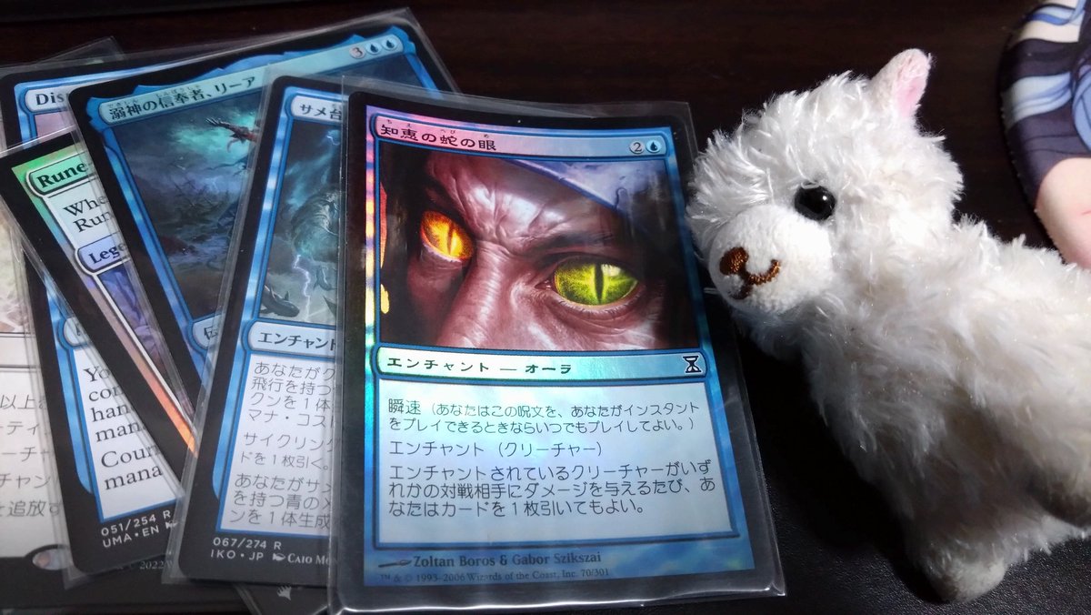 知恵の蛇の眼Foil MTG foil 日本語版 知恵の蛇の眼 Foil】《知恵の蛇の