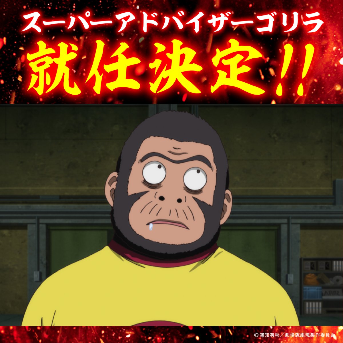 🔥スーパーアドバイザーゴリラ決定🔥/／ “スーパーアドバイザーゴリラ