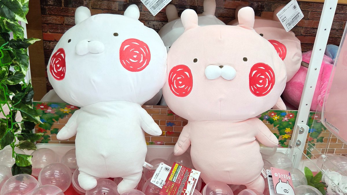 うさまる もちもち超BIGぬいぐるみ』入荷しました🐰🐰 もちもち～っと