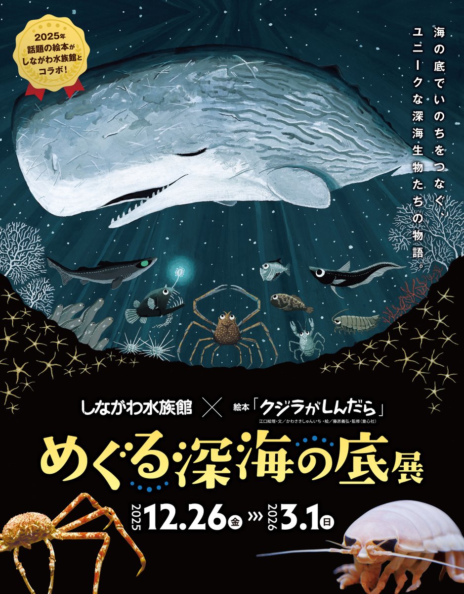 深海生物展 開催🎊／ 💭クジラがしんだらどうなる？ 海の‟底”に広がる