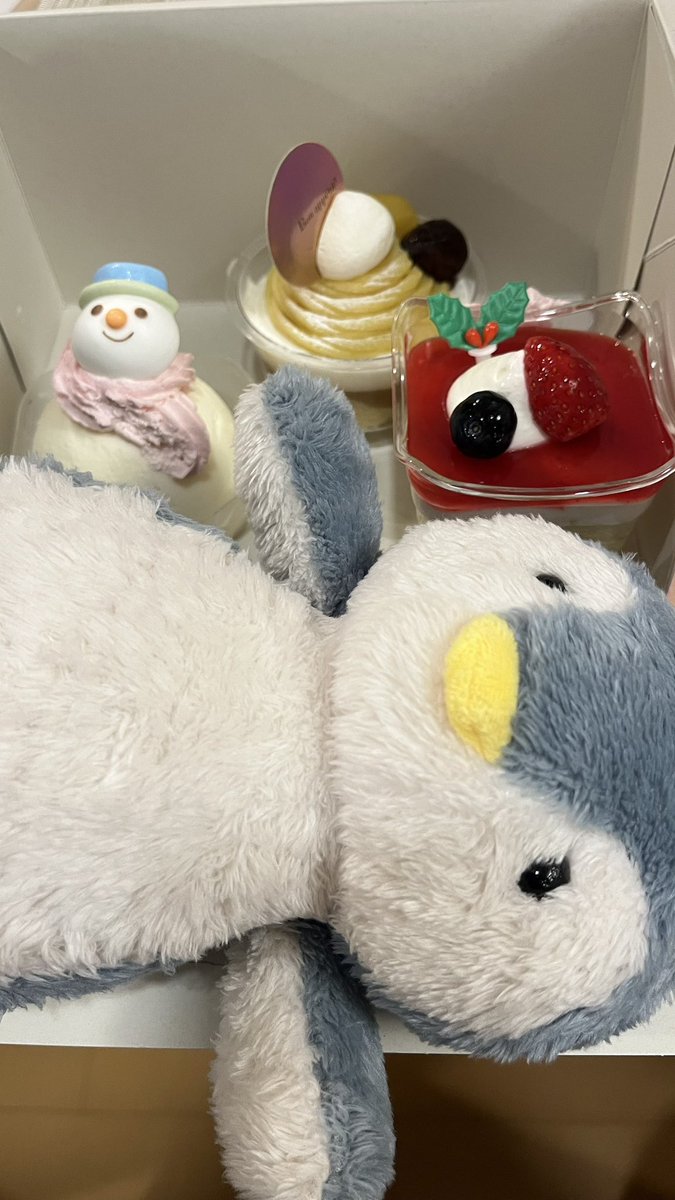 ペンギンBrothers (@penguin131517) / Posts / X