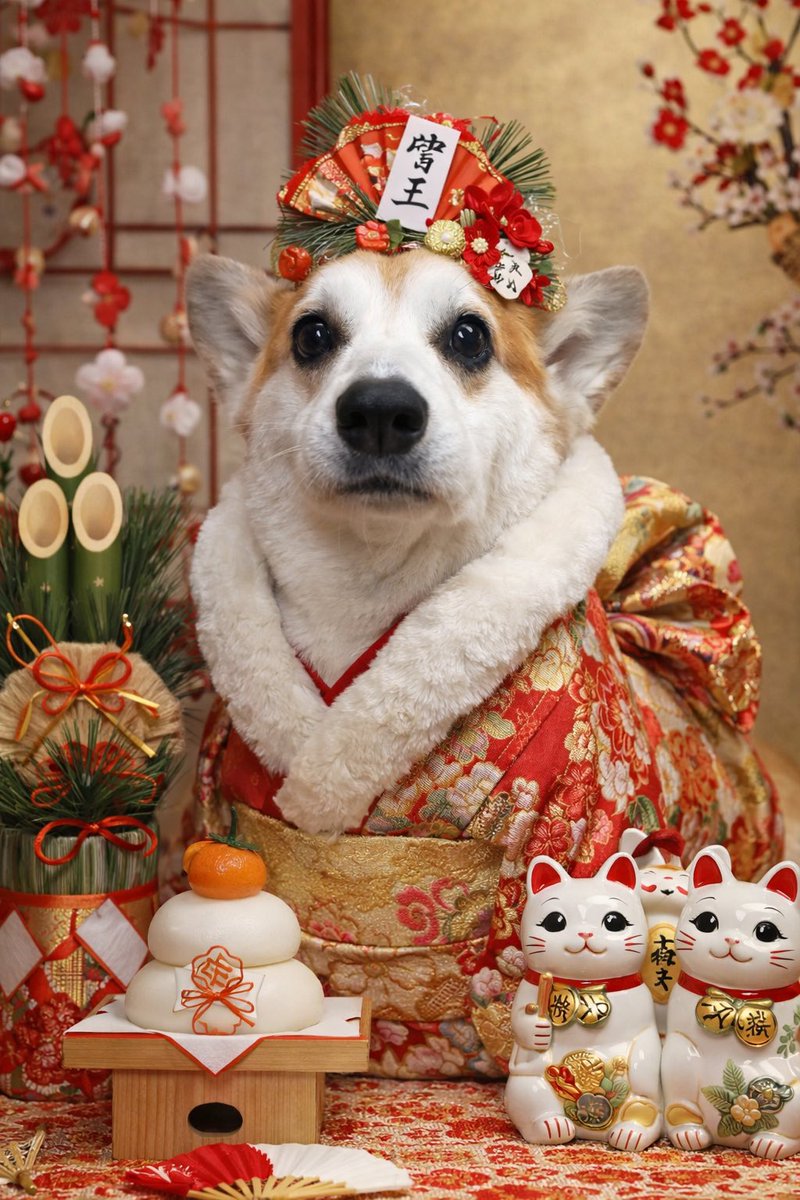 チャッピーにお正月らしい写真にしてって お願いしたらこれ😂 女子に