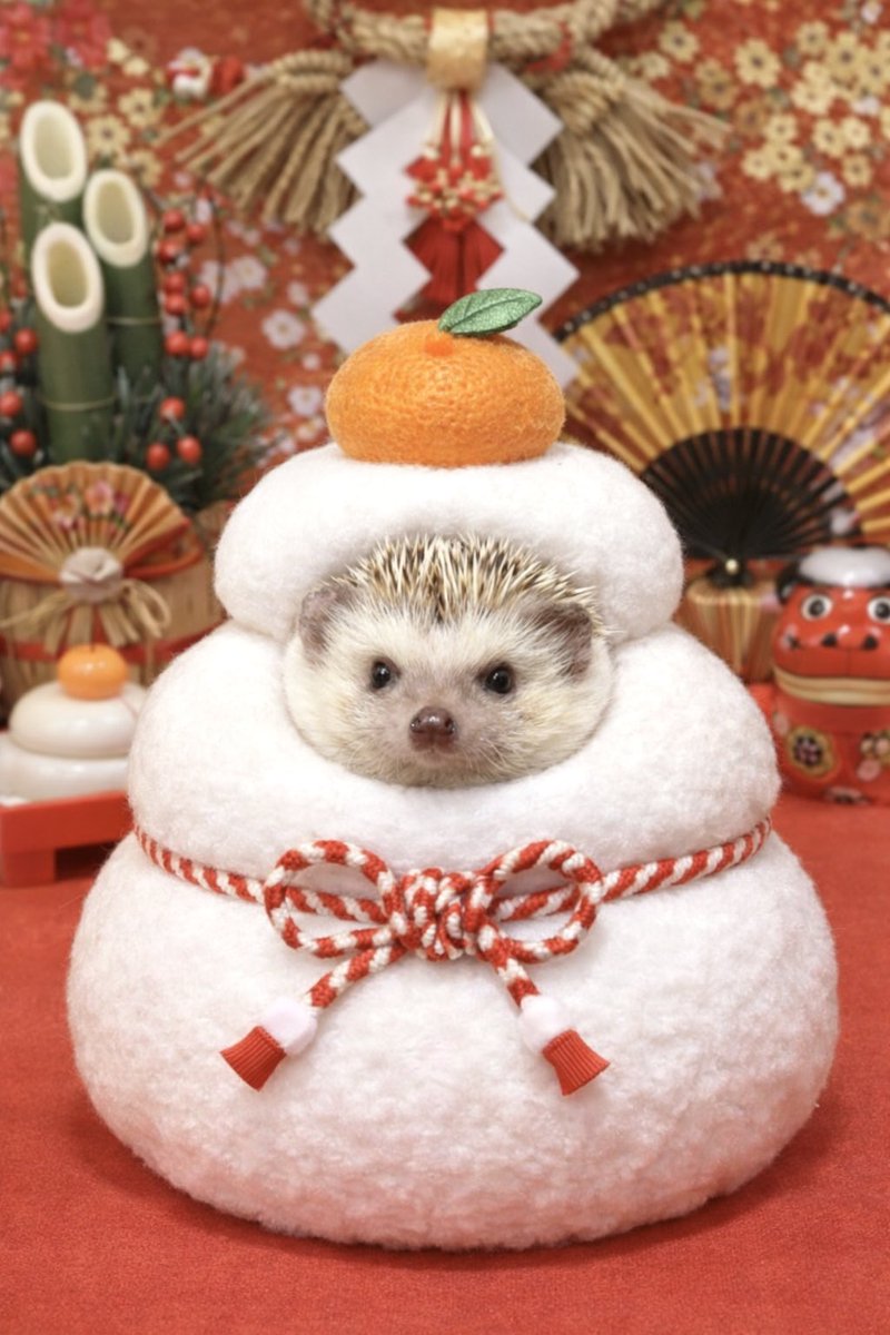 Mitsu☆TAFT friends (@z33mitsu) / Posts / X