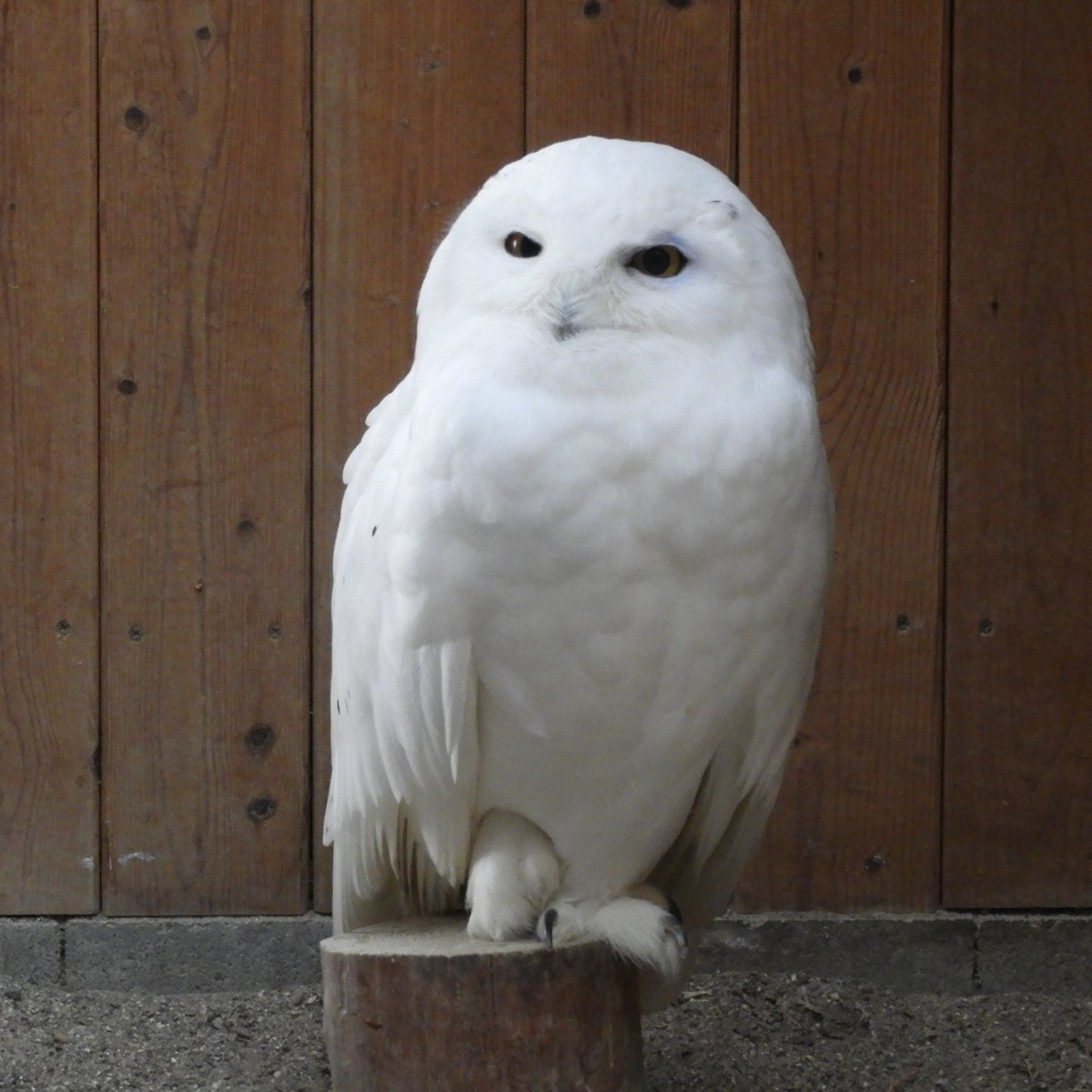 本日より大学入学共通テスト!! 皆様が積み重ねてきた力を最後まで
