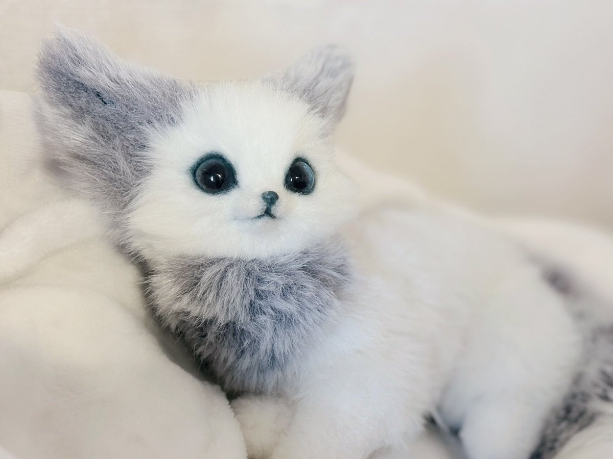 あにゃ@あにゃまるず (@macaronoxou) / Posts / X