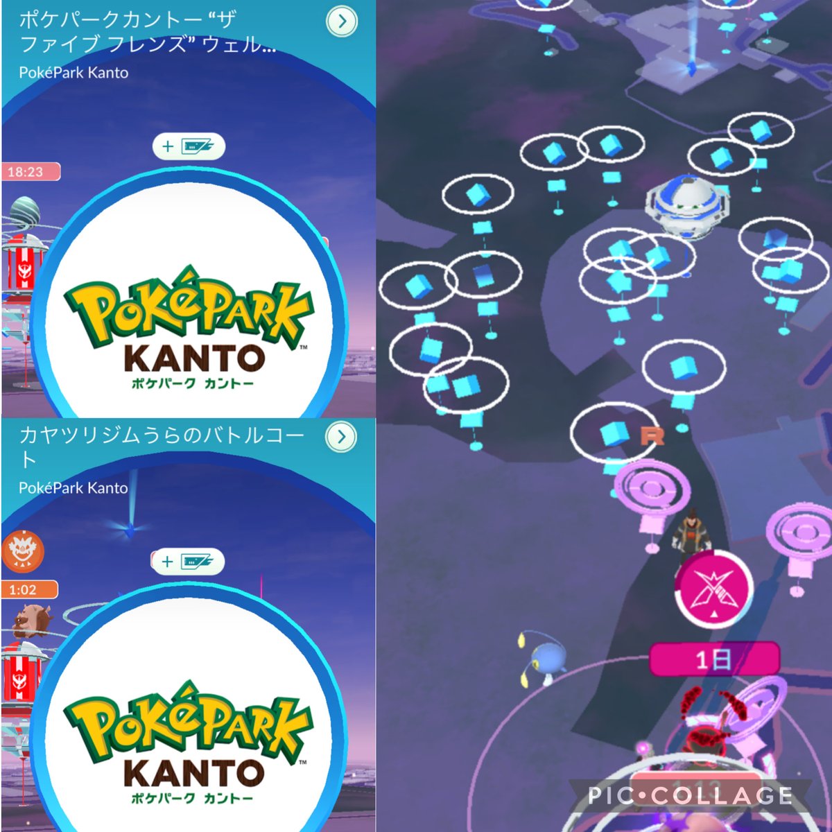 ポケパークカントー行きたい、フリーザーのロケカ、カヤツリジム背景が