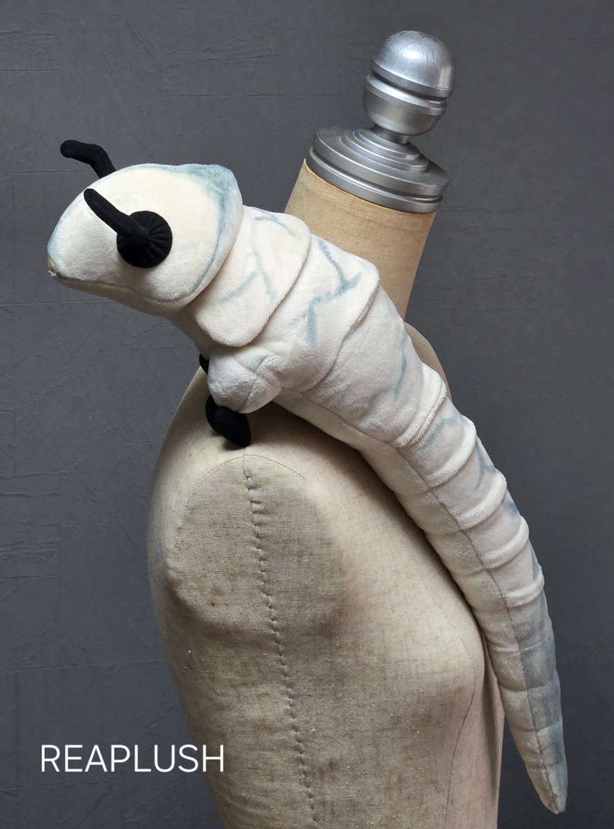 ザラメREAPLUSH@4-18-02WF2026冬 (@reaplush) / Posts / X