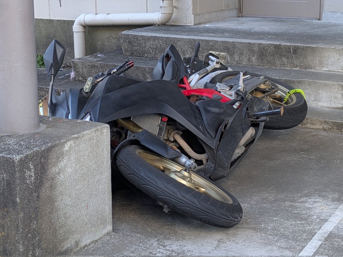 玲音🐦🏍 (@fNhctwLOtq5Gjjc) / Posts / X