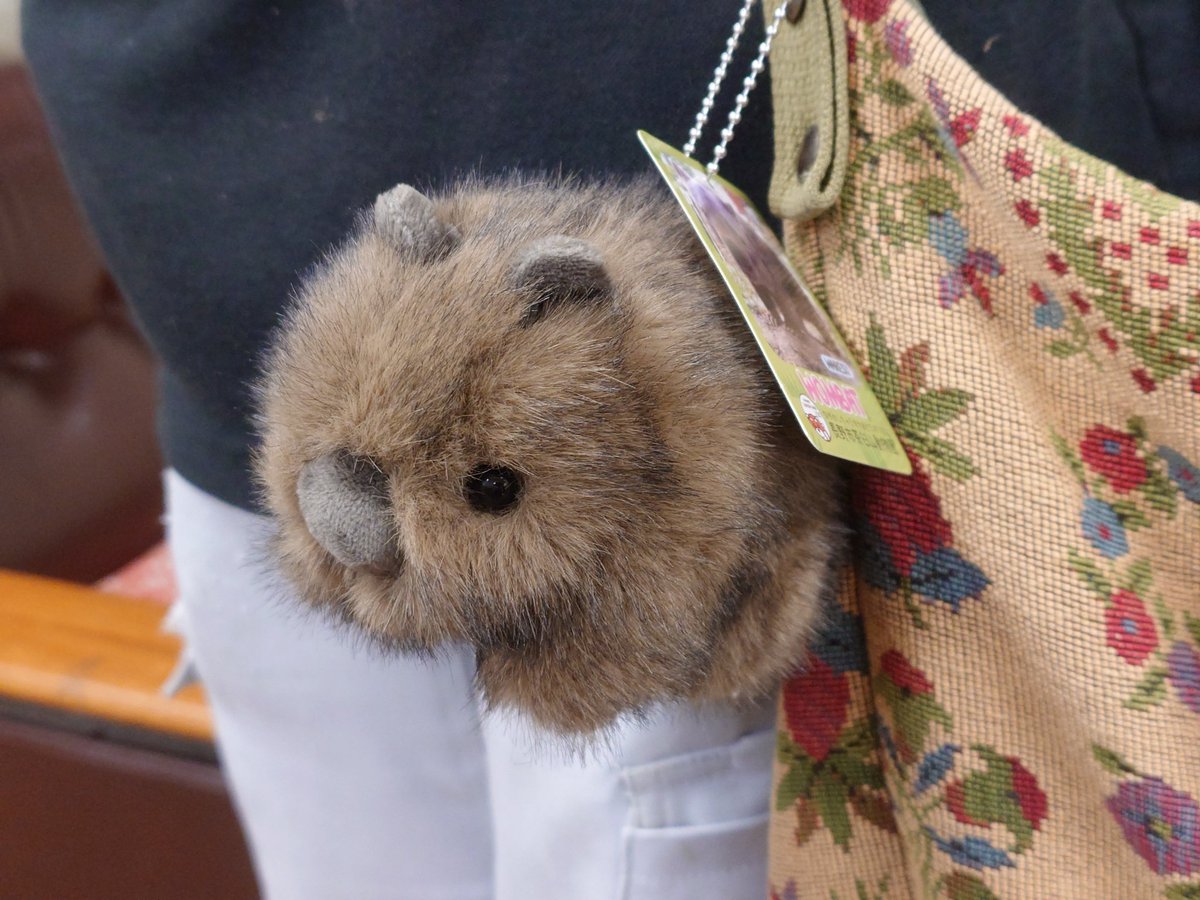 うぉ待たせしましたぁー💗✨ ＼ あの #ウォンバットボールチェーン が