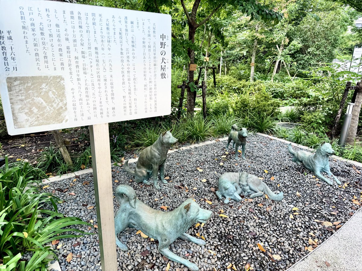 中野区に寄ったので、犬の銅像を見てきました🐕 区役所の移転に伴い