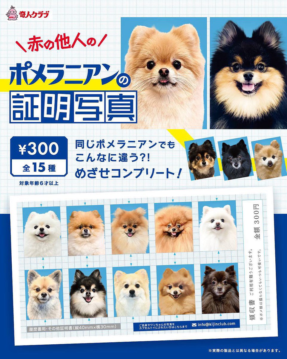 この度お声かけいただき 奇人クラブさんの 赤の他人のポメラニアンの