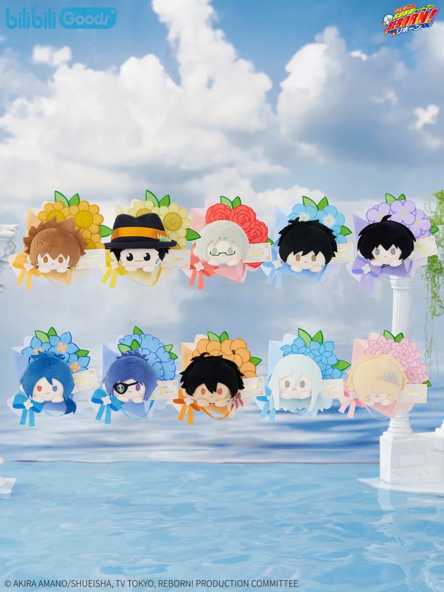 家庭教師ヒットマンREBORN! bilibiliGoods 中国 花束の約束シリーズ