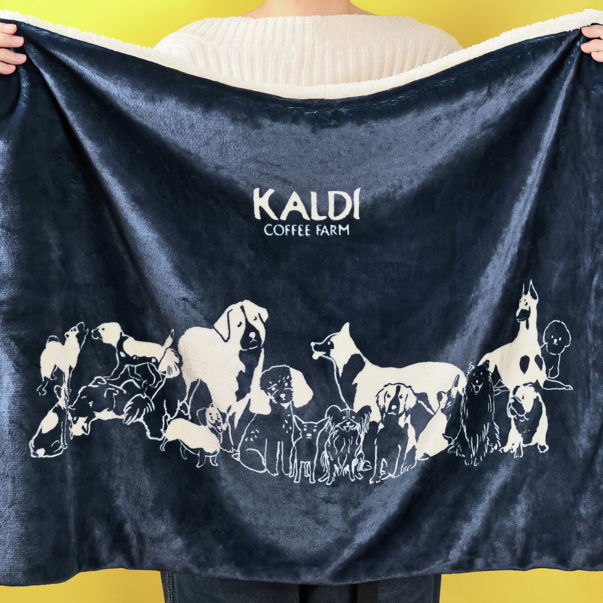 10/3(金)抽選申込み開始！オンラインストア限定 「いぬの日おさんぽ