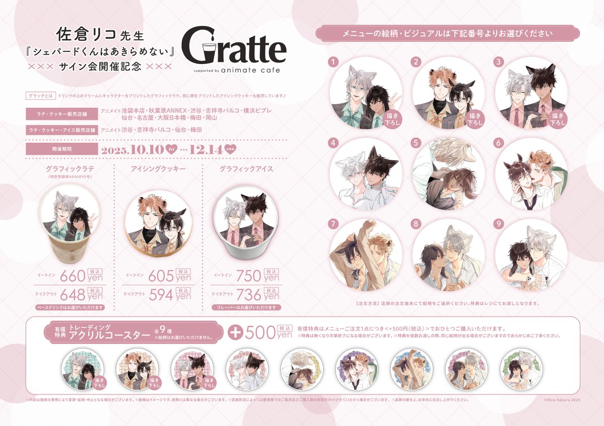 🎀⁺‧┈┈┈┈┈┈┈ #佐倉リコ 先生 『#シェパードくんはあきらめない