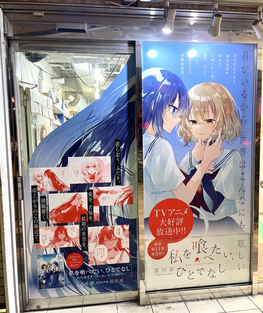 わたたべ in COMIC ZIN／ 秋葉原のCOMIC ZINさんの店頭にて、最新11巻