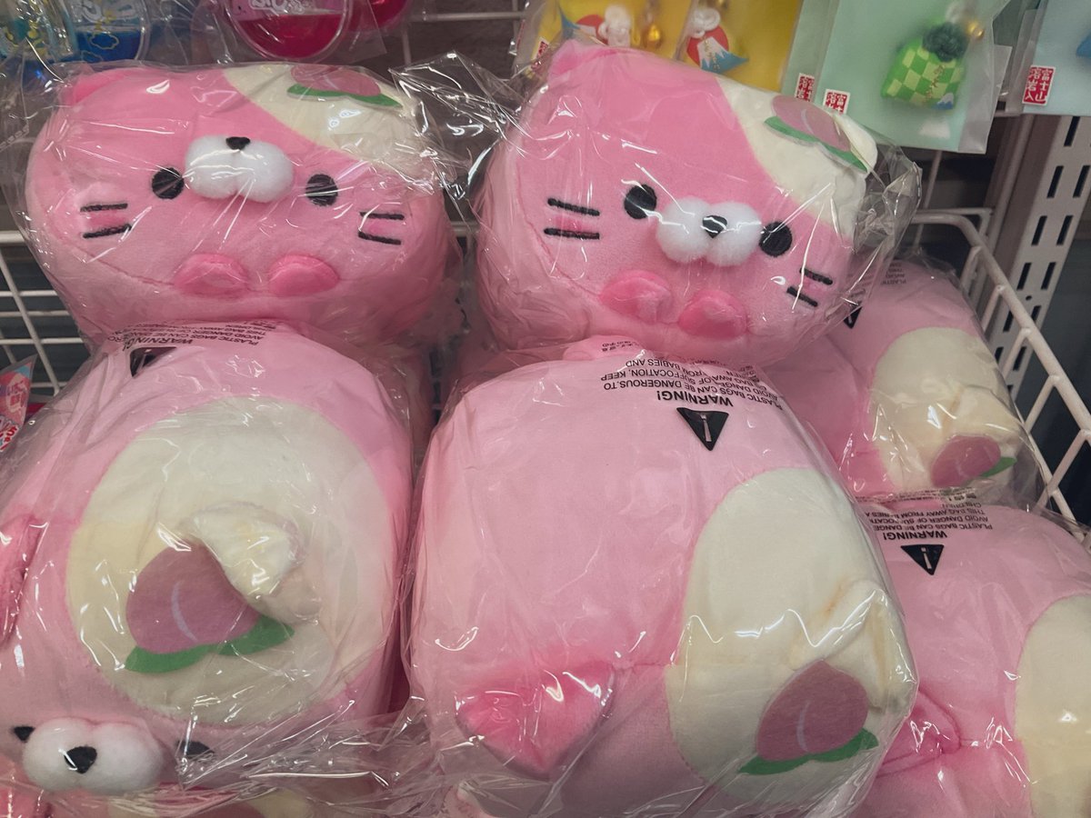 G3czBwlXkAATwkZ.jpg?format=jpg