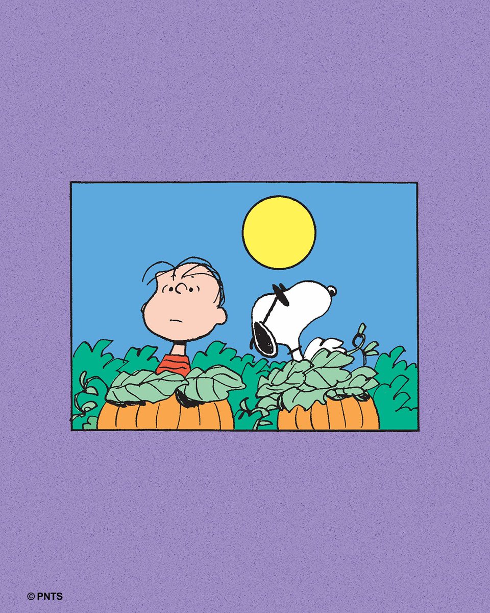 ライナスに、ただ寄り添うスヌーピー。 友だちがそばにいてくれるだけ