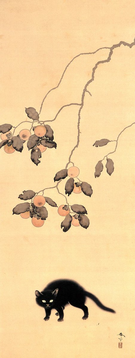 フジタからはじまる猫の絵画史 作品紹介①】 菱田春草《黒猫》 1910