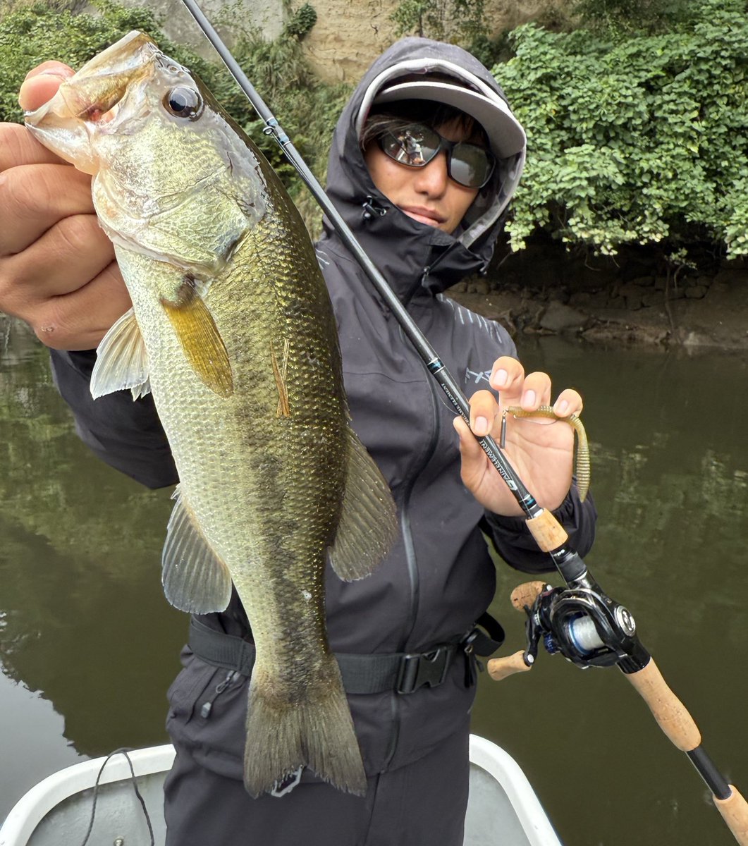 ICHIKAWAFISHING (@ichikawafish) / Posts / X