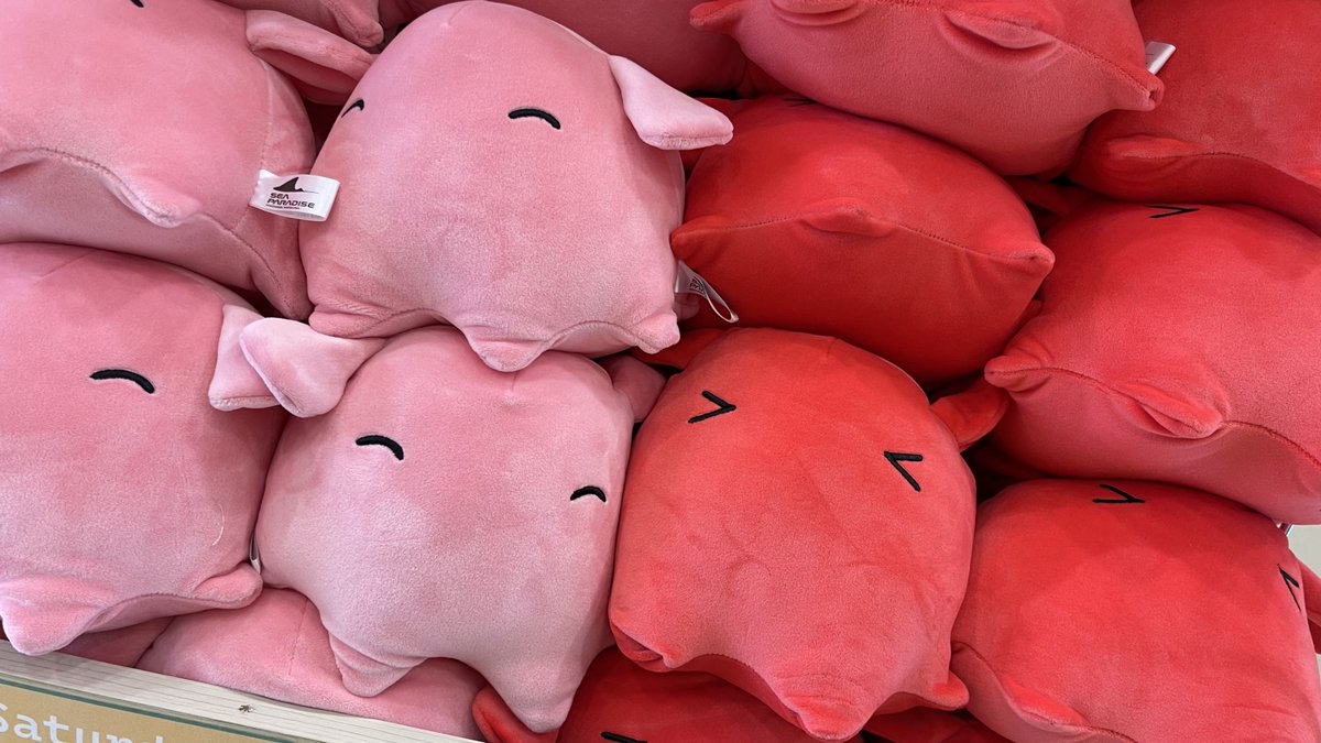 どうあがいてもメンダコがもらえる＾