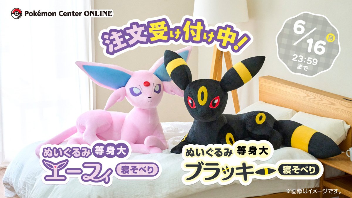 ブラッキー 等身大 ぬいぐるみ ポケモン受注生産品 Pokemon ブラッキー