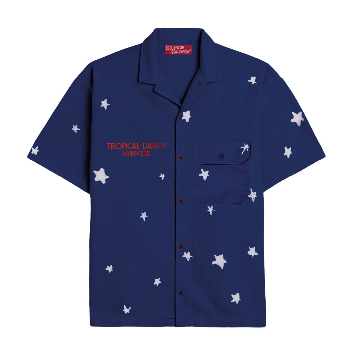 細野晴臣「トロピカル・ダンディー」 50周年再発盤リリース記念